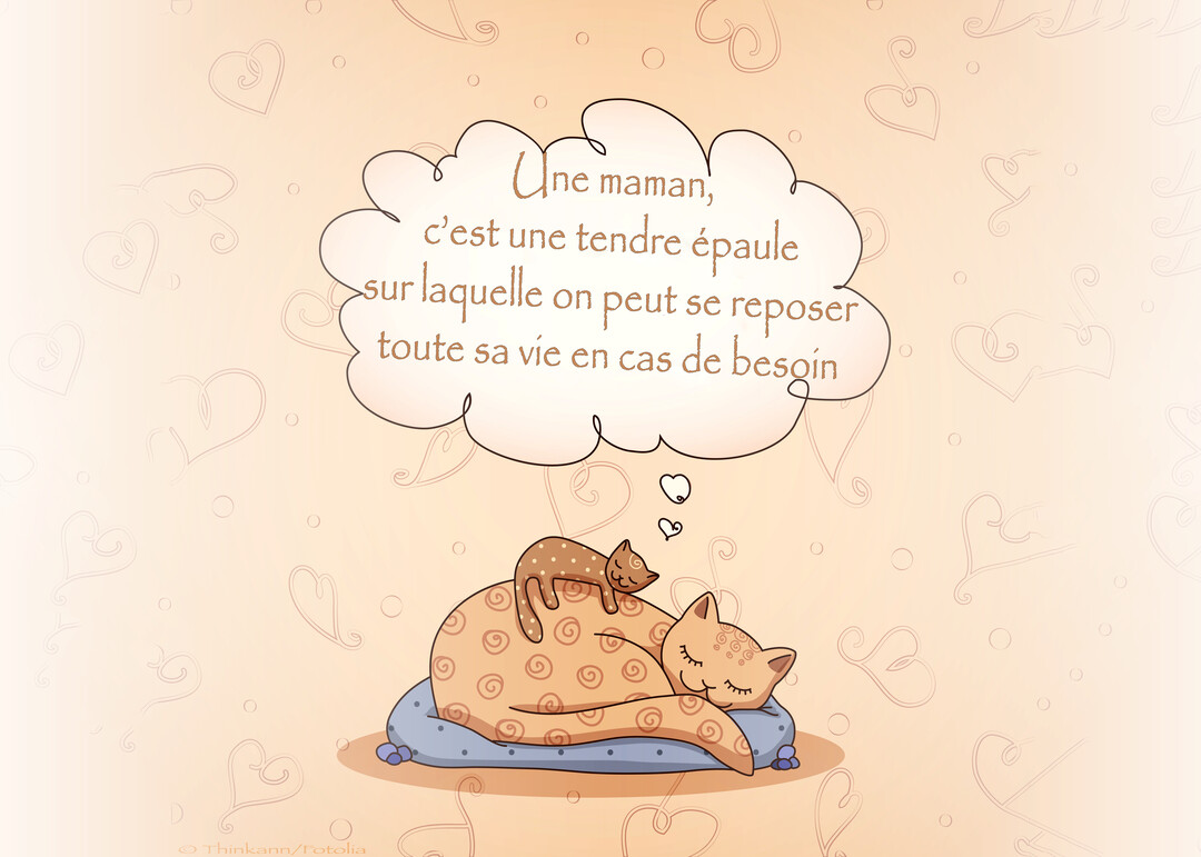 Une maman chat et son chaton endormis sur un coussin, sous une bulle de pensée contenant une citation sur les mamans.