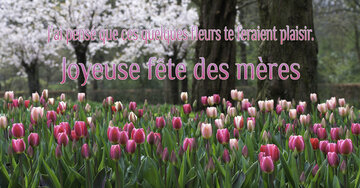 Aperçu de la carte : « J'ai pensé que ces quelques fleurs te feraient plaisir... »