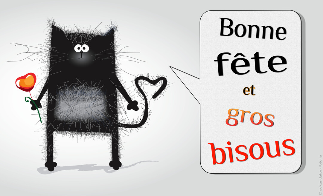Un chat noir stylisé et poilu, tenant une fleur-cœur, se tient à côté d'une bulle de texte disant 'Bonne fête et gros bisous'.