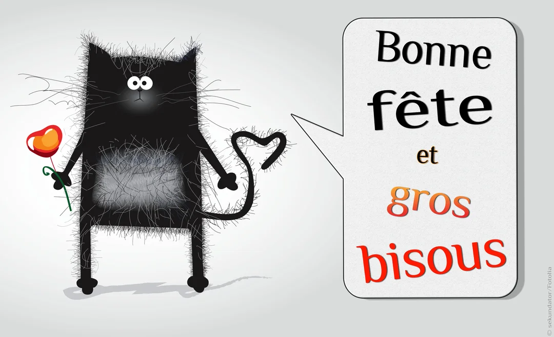 Un chat noir stylisé et poilu, tenant une fleur-cœur, se tient à côté d'une bulle de texte disant 'Bonne fête et gros bisous'.