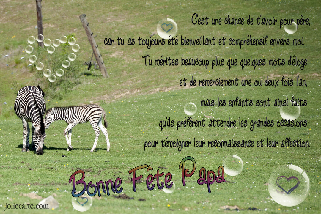 Une carte de fête des pères montrant un zèbre adulte et son petit dans un champ verdoyant, avec un texte poétique superposé.