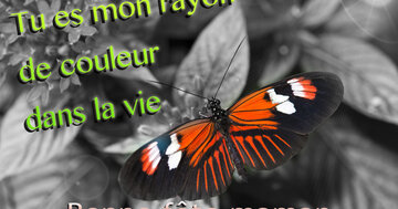 Aperçu de la carte : « Tu es mon rayon de couleur... »