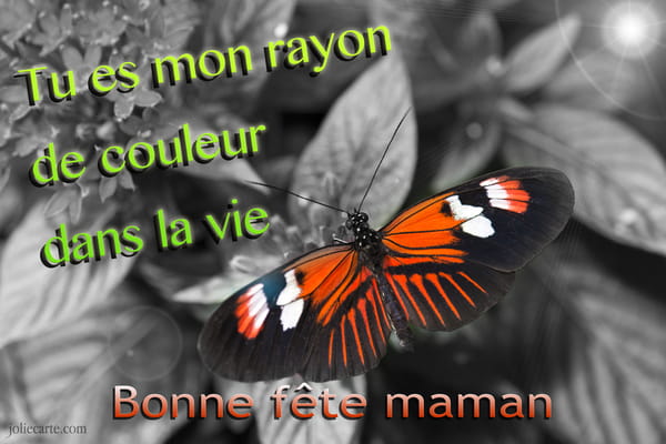 Carte Fête des Mères avec un papillon orange sur fond noir et blanc. Texte : 'Tu es mon rayon de couleur... Bonne fête maman'.