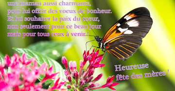 Aperçu de la carte : « Chère Maman, il fait plaisir d'honorer en ce beau jour une maman aussi charmante... »