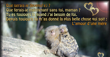 Aperçu de la carte : « Que serais-je sans toi, maman ? Tu m'as donné la plus belle chose : l'amour... »