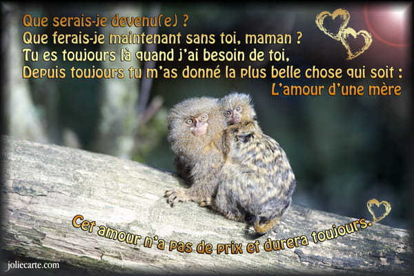 Carte de Fête des Mères avec une maman ouistiti portant son bébé sur son dos et un poème touchant sur l'amour maternel.