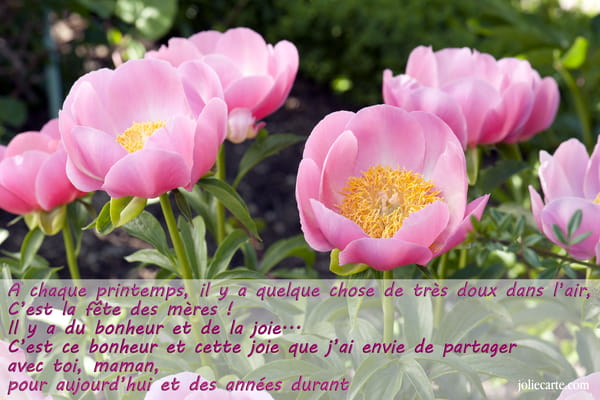 Carte de Fête des Mères avec photographie de pivoines roses épanouies dans un jardin. Un message poétique pour sa maman est superposé.