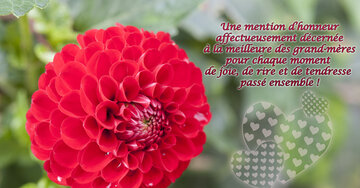 Aperçu de la carte : « Une mention d'honneur affectueusement décernée à la meilleure des grand-mères... »
