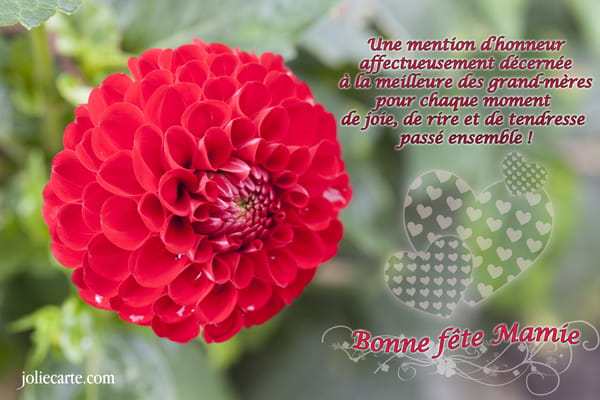 Carte de Fête des Grands-mères avec une fleur dahlia rouge et un message affectueux décernant une mention d'honneur à la meilleure mamie.