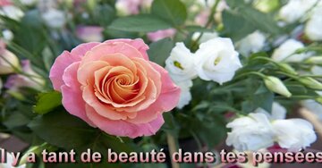 Aperçu de la carte : « Il y a tant de beauté dans tes pensées, tant de bonté dans ton coeur... »