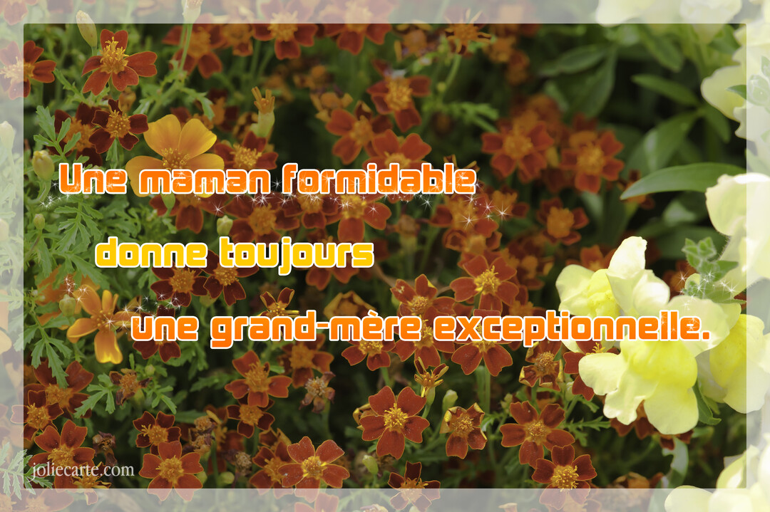 Un parterre de fleurs œillets d'Inde oranges et rouges sert de fond à une citation touchante sur les mamans et les grands-mères.