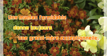 Aperçu de la carte : Une maman formidable donne toujours une grand-mère exceptionnelle.