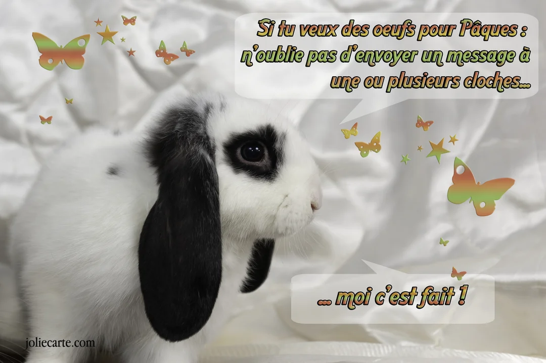 Un lapin bélier blanc et noir est photographié de profil sur un fond satiné blanc, avec un message humoristique pour Pâques.