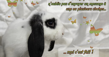 Aperçu de la carte : « Si tu veux des oeufs pour Pâques, envoie un message à une cloche... »