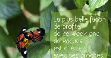 Aperçu de la carte : « La plus belle façon de profiter de ce week-end de Pâques... »