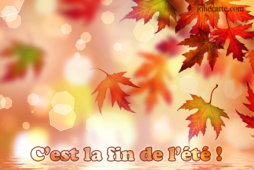 Une composition poétique montrant des feuilles d'érable aux teintes rouges et orangées flottant sur un fond abstrait avec des reflets lumineux.