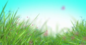 Aperçu de la carte : Un mot aimable est comme un jour de printemps