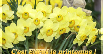 Aperçu de la carte : C'est ENFIN le printemps !