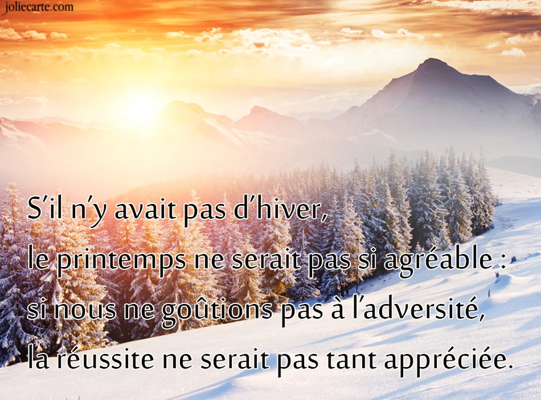 Une majestueuse chaîne de montagnes enneigées sous un ciel orangé, avec une forêt de sapins couverte de neige au premier plan.