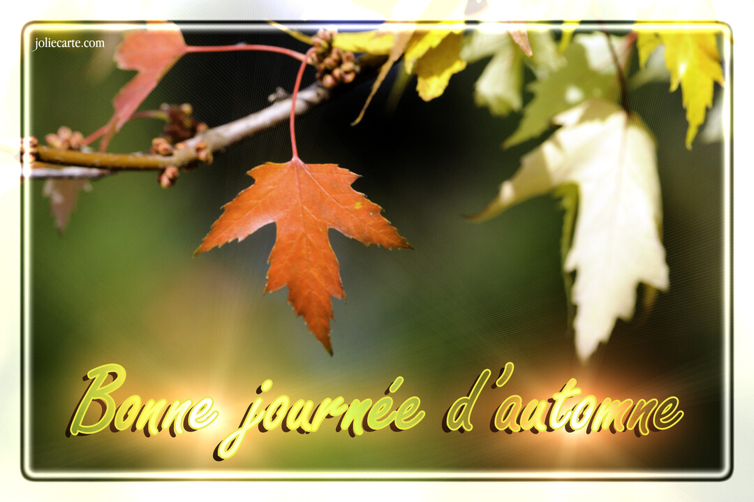 Une jolie carte montrant une feuille d'érable orange vif suspendue à une branche, avec le message 'Bonne journée d'automne' inscrit en dessous.