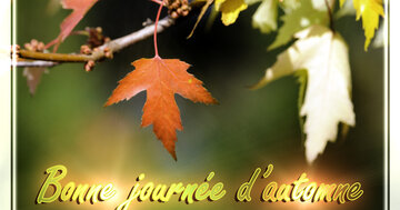 Aperçu de la carte : Bonne journée d'automne