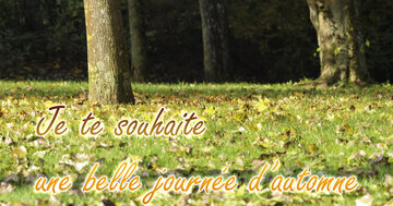 Aperçu de la carte : Je te souhaite une belle journée d'automne