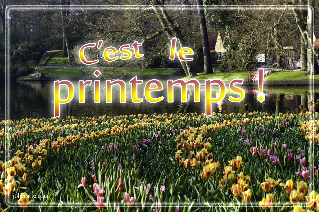 Un paysage printanier avec un champ de tulipes colorées au premier plan, un lac et des arbres en arrière-plan, avec le texte 'C'est le printemps'.