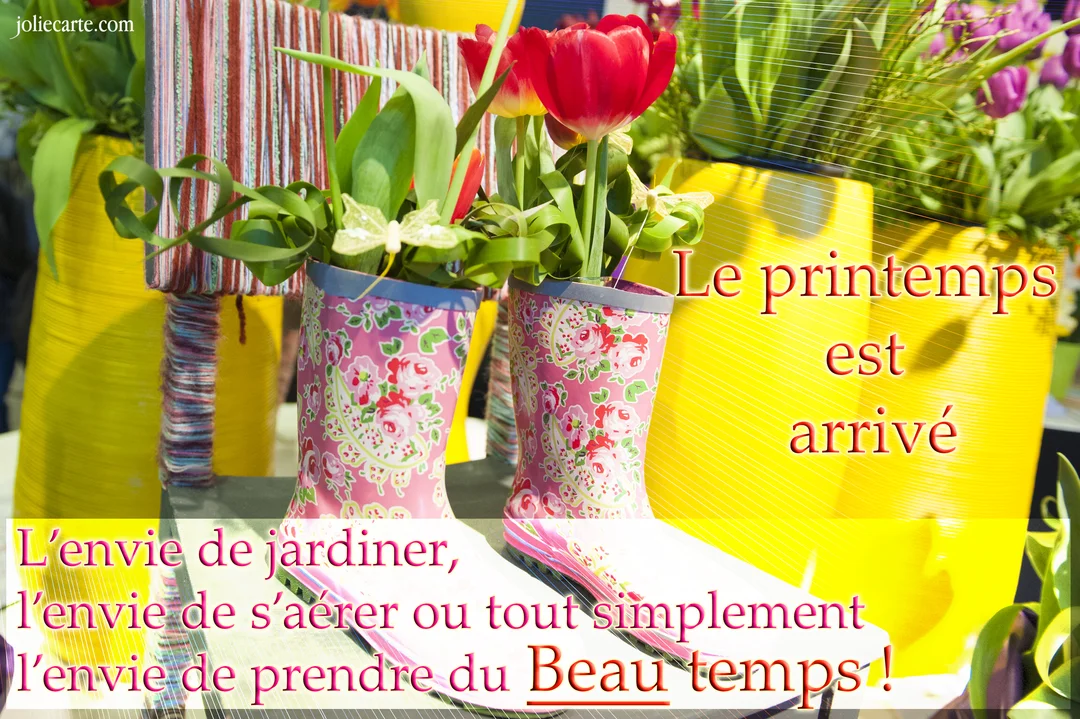 Une composition printanière montre des tulipes rouges plantées dans des bottes de pluie roses à motifs floraux, avec des vases jaunes en arrière-plan.