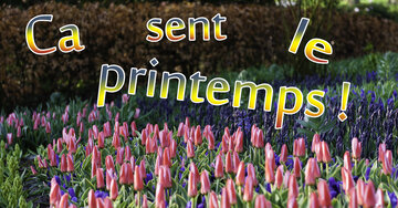 Aperçu de la carte : Ca sent le printemps