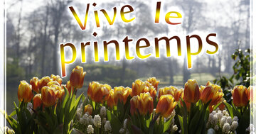 Aperçu de la carte : Vive le printemps