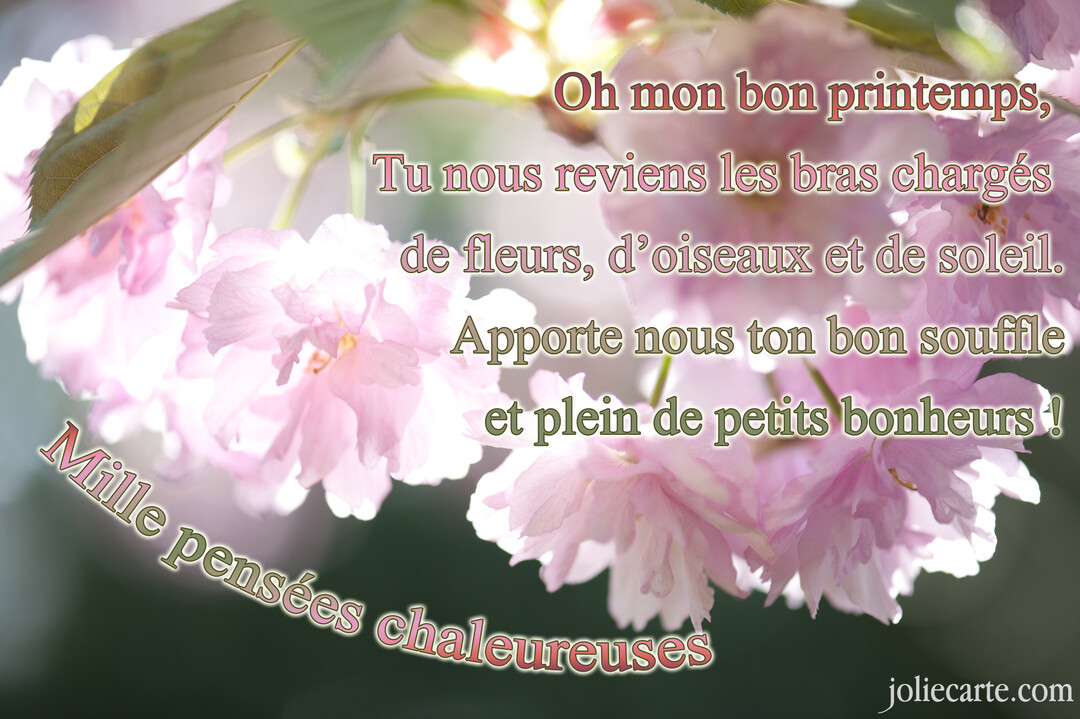 Gros plan sur des fleurs de cerisier japonaises roses et blanches en pleine floraison, avec un texte poétique superposé et un effet de lumière douce.