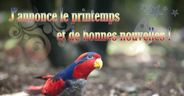 Aperçu de la carte : J'annonce le printemps et de bonnes nouvelles !