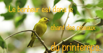 Aperçu de la carte : Le bonheur est dans le chant des oiseaux du printemps.
