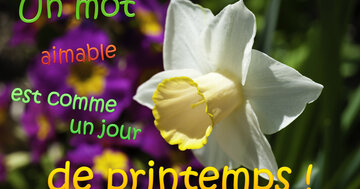 Aperçu de la carte : Un mot aimable est comme un jour de printemps.