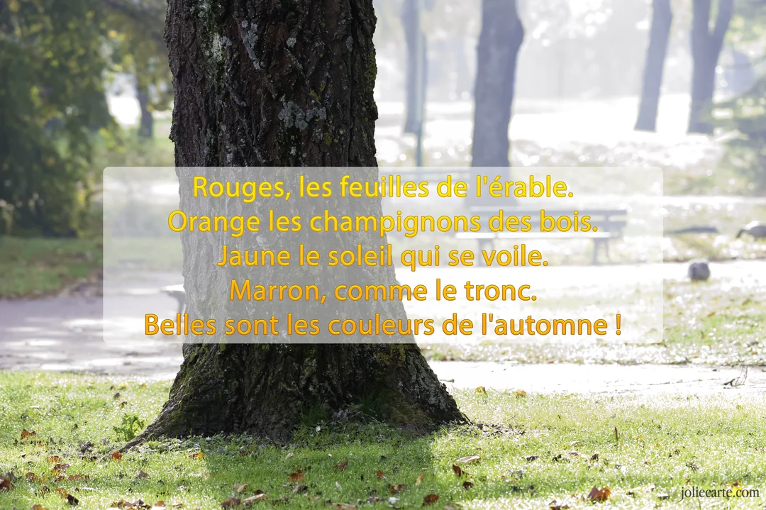 Un poème sur les couleurs de l'automne est superposé à la photographie du tronc d'un grand arbre dans un parc brumeux.