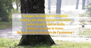 Aperçu de la carte : « Un poème énumérant les belles couleurs de l'automne, du rouge des feuilles au marron... »