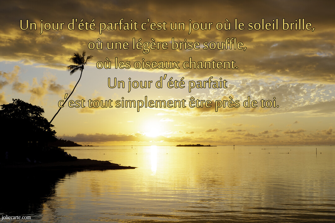 Paysage marin au crépuscule avec un soleil doré se reflétant sur l'eau calme, la silhouette d'un palmier se détachant sur un ciel nuageux.