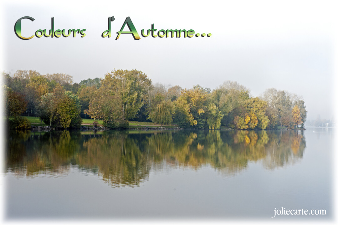 Un paysage automnal paisible montrant des arbres aux teintes vertes et dorées se reflétant parfaitement dans les eaux calmes d'un lac.