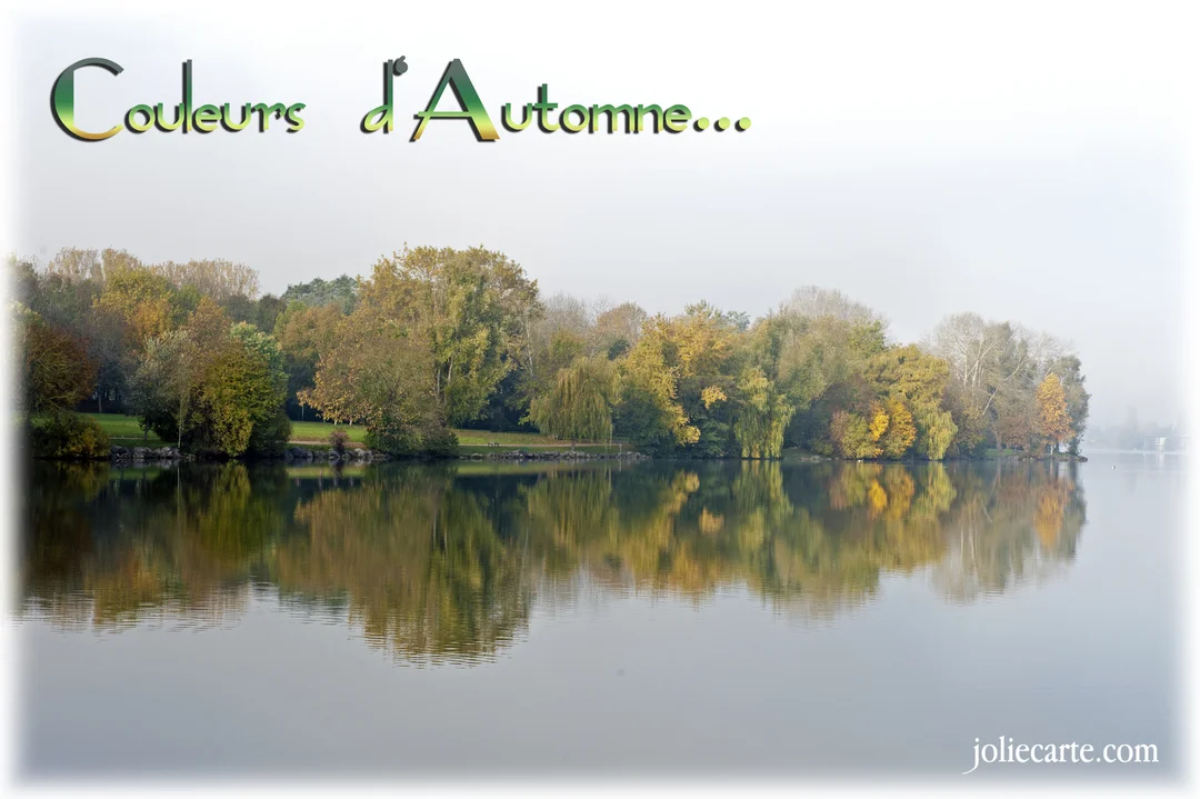 Un paysage automnal paisible montrant des arbres aux teintes vertes et dorées se reflétant parfaitement dans les eaux calmes d'un lac.
