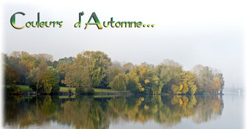 Aperçu de la carte : Couleurs d'automne...