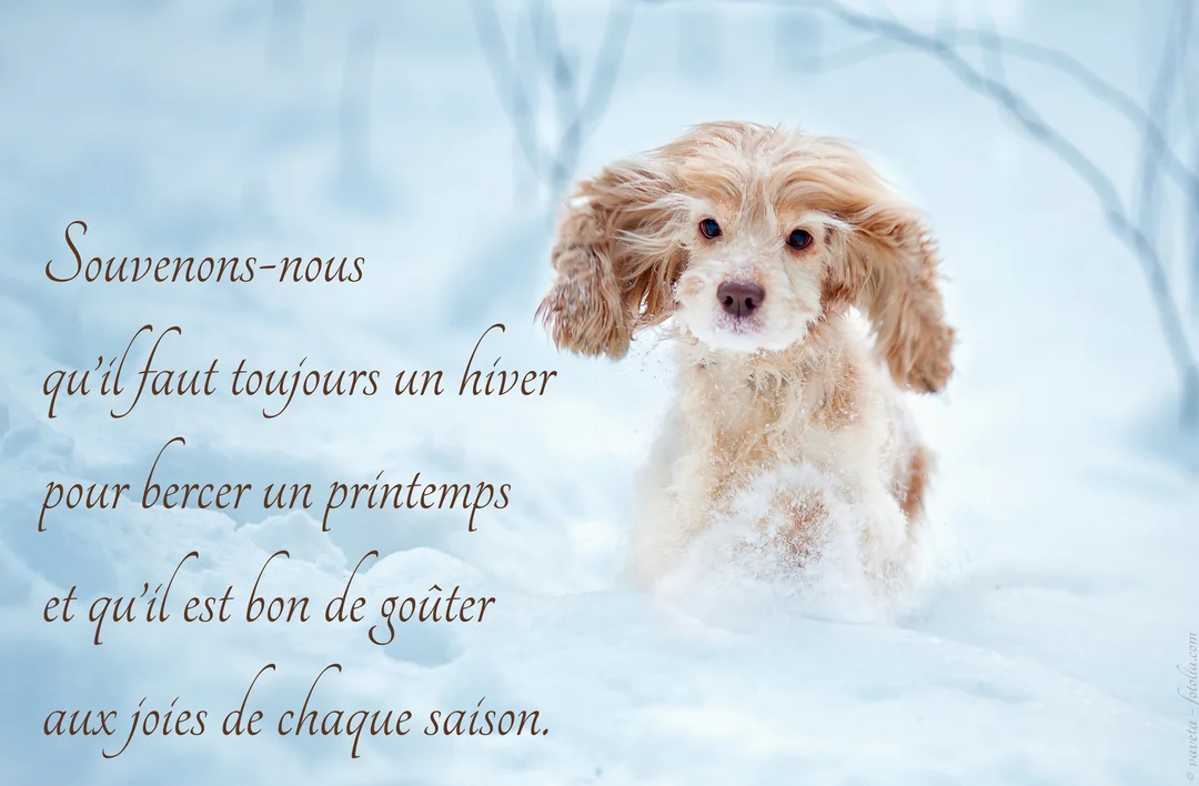 Un jeune chiot cocker spaniel aux longues oreilles est assis dans un paysage enneigé, regardant la caméra à côté d'une citation poétique.