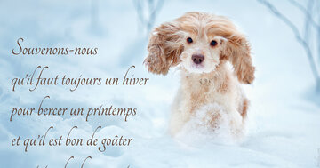 Aperçu de la carte : « Souvenons-nous qu'il faut toujours un hiver pour bercer un printemps... »