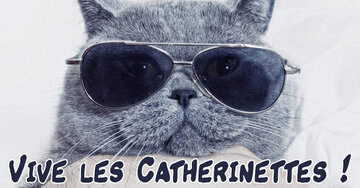 Aperçu de la carte : Vive les Catherinettes !