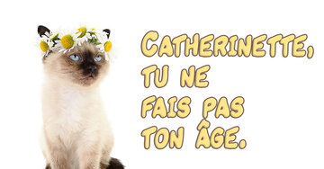 Aperçu de la carte : Catherinette, tu ne fais pas ton âge.