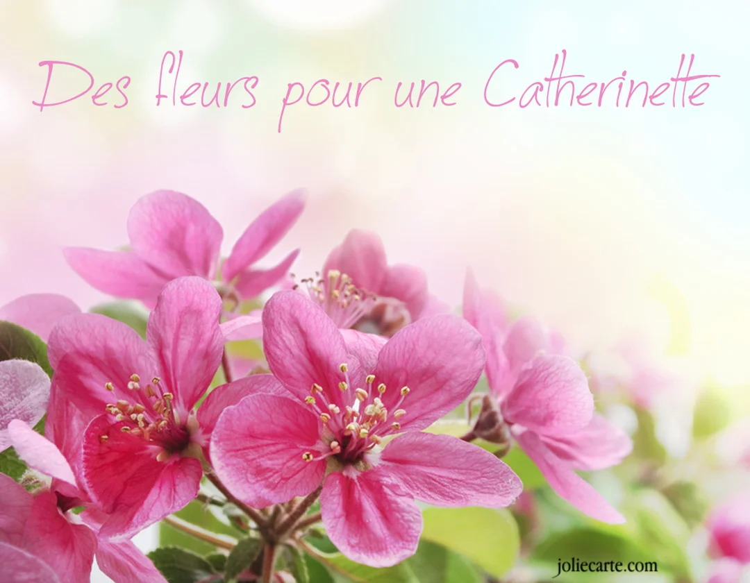 Un gros plan photographique de fleurs roses de cerisier, baignées d'une lumière douce, sur un fond pastel flou avec une inscription.