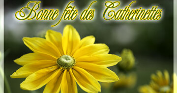 Aperçu de la carte : Bonne fête des Catherinettes