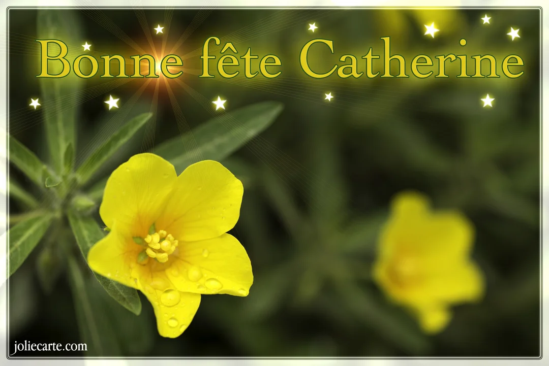 Gros plan sur une fleur jaune aux pétales perlés de gouttes d'eau, avec le texte scintillant 'Bonne fête Catherine' superposé.