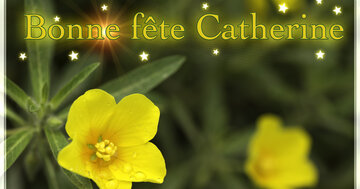 Aperçu de la carte : Bonne fête Catherine