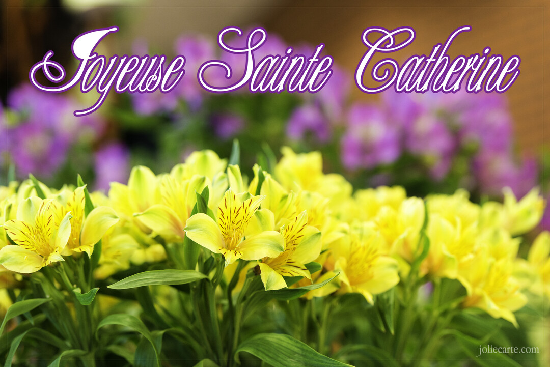 Une carte de vœux affichant le texte 'Joyeuse Sainte Catherine' au-dessus d'un parterre de délicates fleurs jaunes sur fond de fleurs violettes.