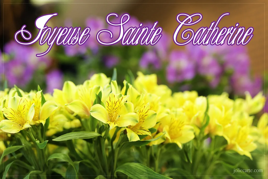 Une carte de vœux affichant le texte 'Joyeuse Sainte Catherine' au-dessus d'un parterre de délicates fleurs jaunes sur fond de fleurs violettes.